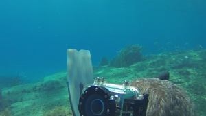Freediving apnea in Capo Carbonara Sardinia