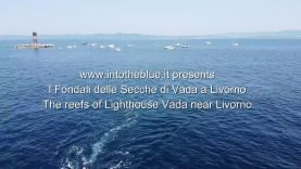The reefs of Lighthouse Vada near Livorno