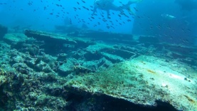 steamboat, wreck, Ilha do Sal, isla de Sal, Cabo verde, Capo Verde – intotheblue.it-2018-01-11-14h22m27s597-1024×576