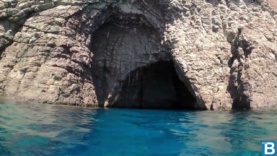 Grotta di Parazoanthus axinellae
