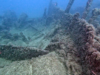 Piero Foscari ship wreck Relitto nave Piero Foscari www.intotheblue.it-2023-10-10-11h57m19s238