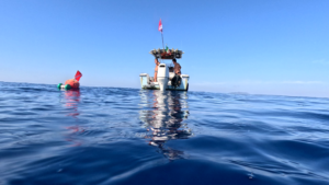 Diving near Gorgona island